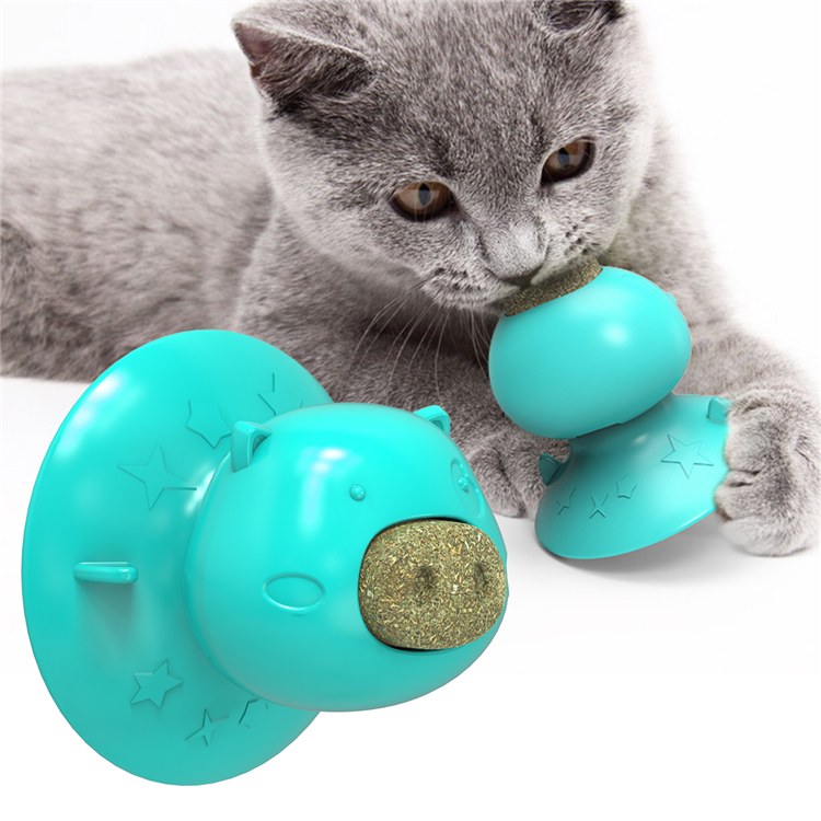 Hot Selling Custom Pet Chew Toys Cat Toys Teeth Cleaning Multifunction Catnip Toys