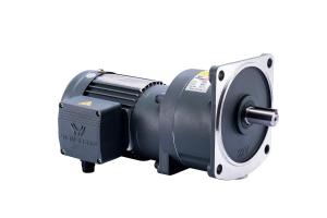 Quality Energy Saving Ratio 1/3 AC Gear Motor For Automation Industry wholesale
