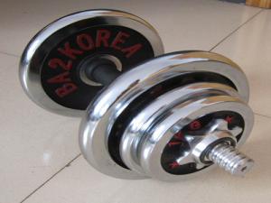 Quality 30 Years China Gym Dumbbell Manufacturer wholesale