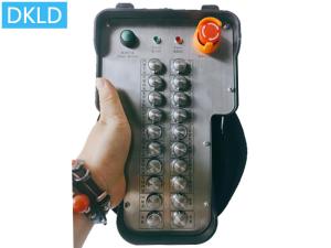 Quality 20 Way Explosion-Proof Remote Control wholesale
