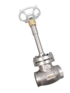 Quality PN40 SS304 SS316 Cryogenic Socket Weld Globe Valve Liquid Nitrogen wholesale