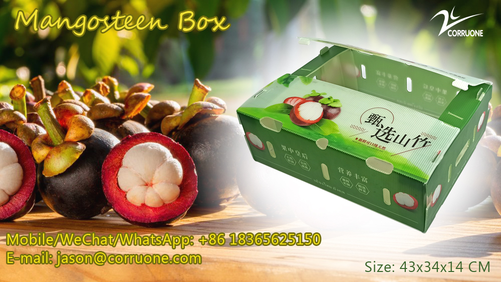 PP Corrugated plastic box vegetable fruit box