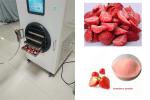 6kg Mini Freeze Dryer PLC Control Electric Heating