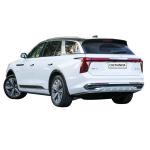 Used Medium Electric Car Fast Charging 4 Door SUV EV EHS9 Hongqi