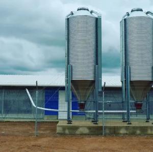 Quality 50MM Light Steel Poultry House Farm Sheds Poultry Pre Built Chicken Coops Custom Color wholesale