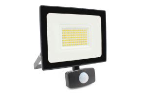 Quality ERP Waterproof Outdoor Flood Lights IP44 Aluminum Diecasting 30W Pir Floodlight wholesale