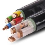 16mm2 25mm2 35mm2 95mm2 Single Muti Core Armoured PVC XLPE Insulation Electric