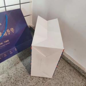 Quality Custom Luxury Gift Garment Paper Shopping Bags With Logo Print wholesale