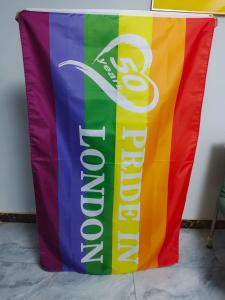 Quality Digital Printing 3x5 LGBT Flag Gay Lesbian Bisexual Pride Flag wholesale