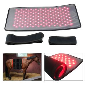 Quality OEM RED LED Light Therapy Bed 660nm 850nm infrared For Body wholesale