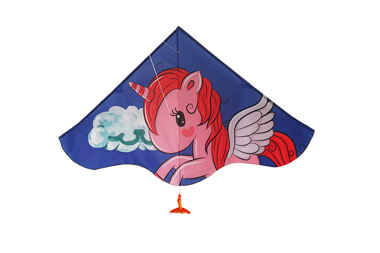 Single Line Type of Delta Wing Kite 135*65cm With 30m String Line Easy Carry