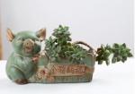 Succulent Creative Animals Cute Pig Plant Flowerpots