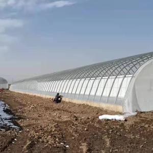 Quality Automatic Plastic Film Solar Passive Greenhouse Support Rainwater Collection wholesale
