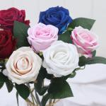 Preserved Eternal Decorative Flowers Beautiful Colorful Style for Events