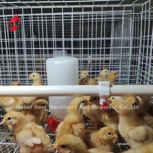Quality Poultry Farm Equipment H-Type Battery Chicken Cage System For Broiler Mia wholesale