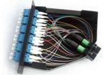 24 Fiber MTP / MPO Patch Cord Single Mode 12 Port Fiber Patch Panel LC UPC