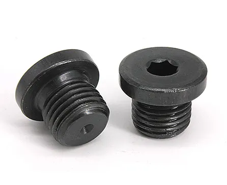 10mm ALLOY Stainless Steel Hexagon Socket Pipe Plug Screw Din908 with ZINC Treatment Protection Guaranteed by 10-
