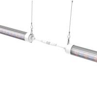 Quality 100W Indoor LED Interlighting Red Blue Spectra Tomato Led Grow Light wholesale