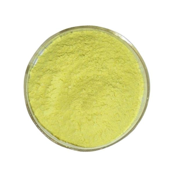 99% Pure Quercetin Dihydrate Powder Natural Sophora Japonica Extract CAS 6151-25