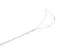 Disposable Polypectomy Snare in digestive tract