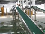 Stainless Steel Belt Conveyor for food