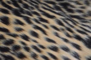 Quality leopard print Mixed Jacquard Long Haired Fur Fabric Acrylic Fake Mink wholesale