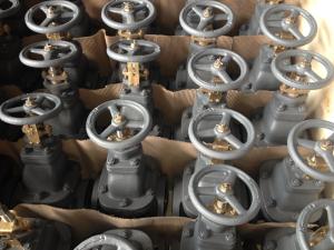 Quality 702-F (JIS) Cast Iron Gate Valve NRS wholesale
