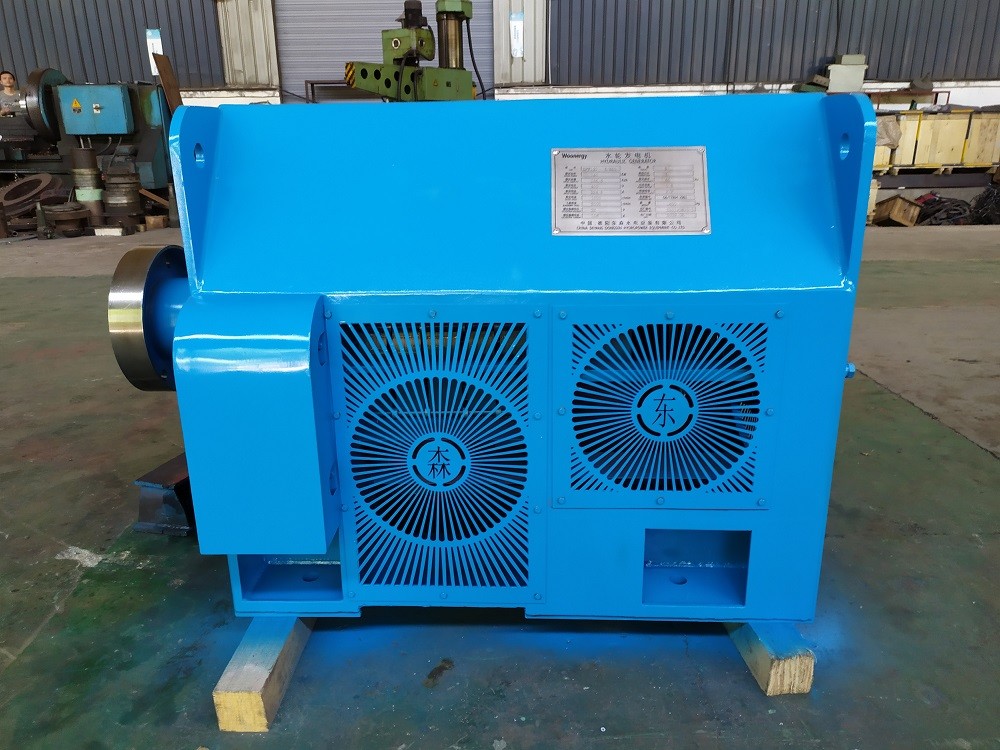 Altitude Stainless Steel Turgo Turbine 50-400m Rated Head 220V-11000V