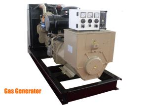 Quality Cummins engine Stamford Natural Gas Powered Generator 50 / 60hz for oil field wholesale