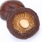 High Nutrition Dried Shiitake Mushrooms Dark Brown For Cooking