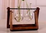 glass vase terrarium for planting deco