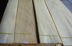 Quality Rubber Natural Sliced Veneer 0.50mm Thickness With A Grade wholesale