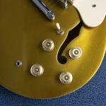 Hollow body Jazz electric guitar, Golden Jazz Guitar, Rosewood Fingerboard
