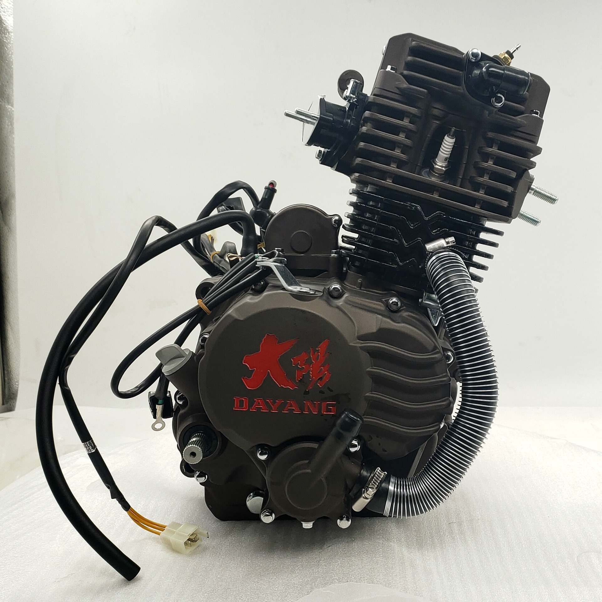 200cc Water-Cooled Petrol 3 Wheels Motorcycle Engine Assembly 1 Cylinder 4 Stroke 31 CDI