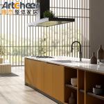 Modern Stylish Kitchen Cabinet with Plywood Carcase and Technology Mini Model