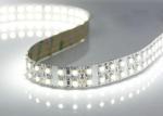 Flexible 3528 LED Ribbon Light Strips , Double Row 240leds/meter LED Strip