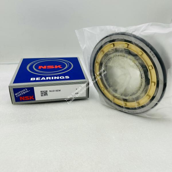 INA Full Complement Cylindrical Roller Bearing SL182940