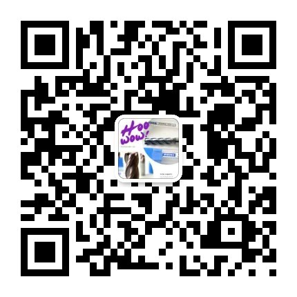 SiN Coating Corner Radius End Mill , HRC55 4 Flute Extra Long End Mill SGS
