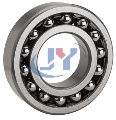 Double Row Self Aligning Radial Ball Bearing 2204K+H304/11503 Open Ball Bearing