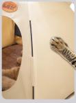 Detachable Canvas Pet Beds Animals Bed Tent Camping Dog Tent House Kennel