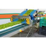 Electric Wheat/Barley Harvester 380v Voltage for Babyleaf Tray Harvesting