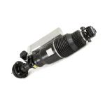 Professional MAYBACH 57 AND 62 FRONT-L HYDRAULIC SHOCK ABSORBER OEN No.
