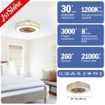 3 Speed 20 Inch Wind Deflector Dimming LED Ceiling Fan