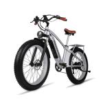 48V 17.5AH LG Battery Retro Electric Bike With Front Suspension 1000W Motor