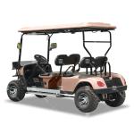 LSV 4 Searter Golf Cart Chinese OEM Maximum Performance Wholesale Electric