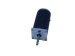 40mm Zyt Series High Torque Permanent Magnet Dc Motor 12v 24v 2300rpm 4800rpm