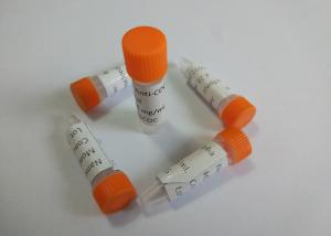 Quality Anti-MDPV Mouse Monoclonal Antibody Anti-Methylenedioxypyrovalerone wholesale