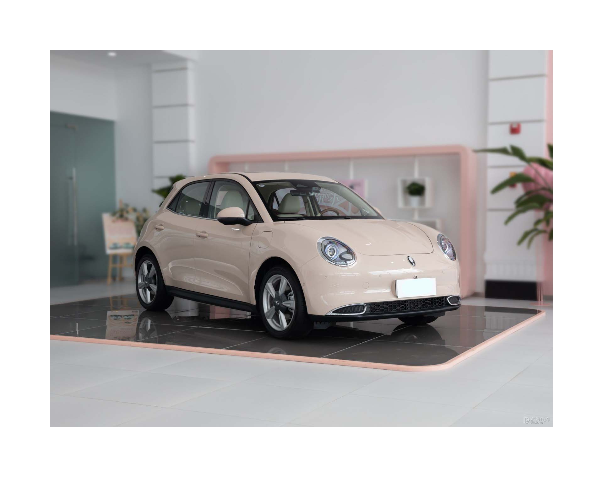 Spot sales of 2022 new energy vehicles designed by China Great Wall Euler noble ternary lithium on a first come first served bas