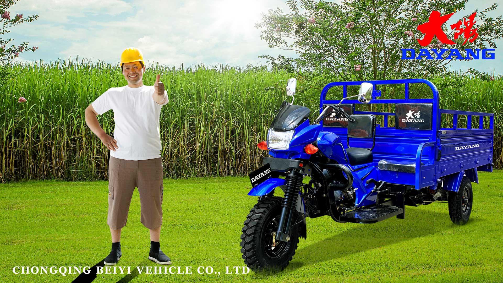 Open Body Type DAYANG Powerful Motor Tricycle for Cargo 200cc 250cc Gasoline Pedicab