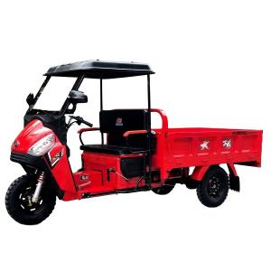 Quality Powerful Engine Cool Airtogo Cargo Tricycle 110cc 150cc for 1 Passenger Standard Size wholesale